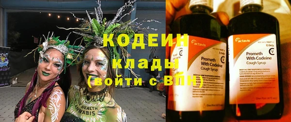 ПСИЛОЦИБИНОВЫЕ ГРИБЫ Арсеньев