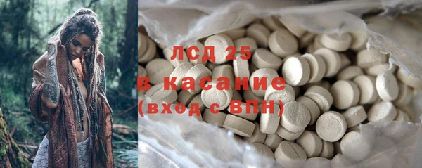 ПСИЛОЦИБИНОВЫЕ ГРИБЫ Арсеньев