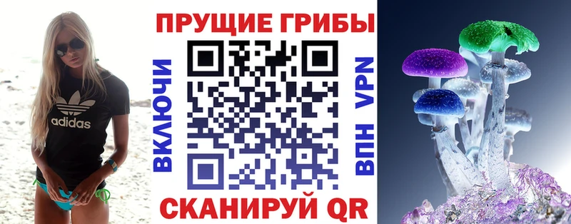 наркота  Дзержинск  Галлюциногенные грибы ЛСД 